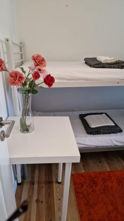 Bunk Bed Mixed Dormitory Room