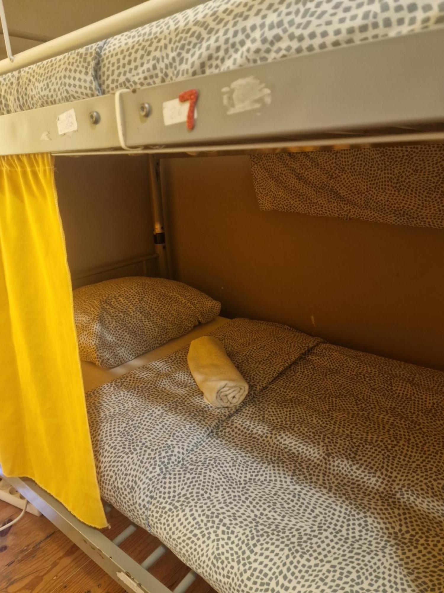 Bunk Bed Mixed Dormitory Room