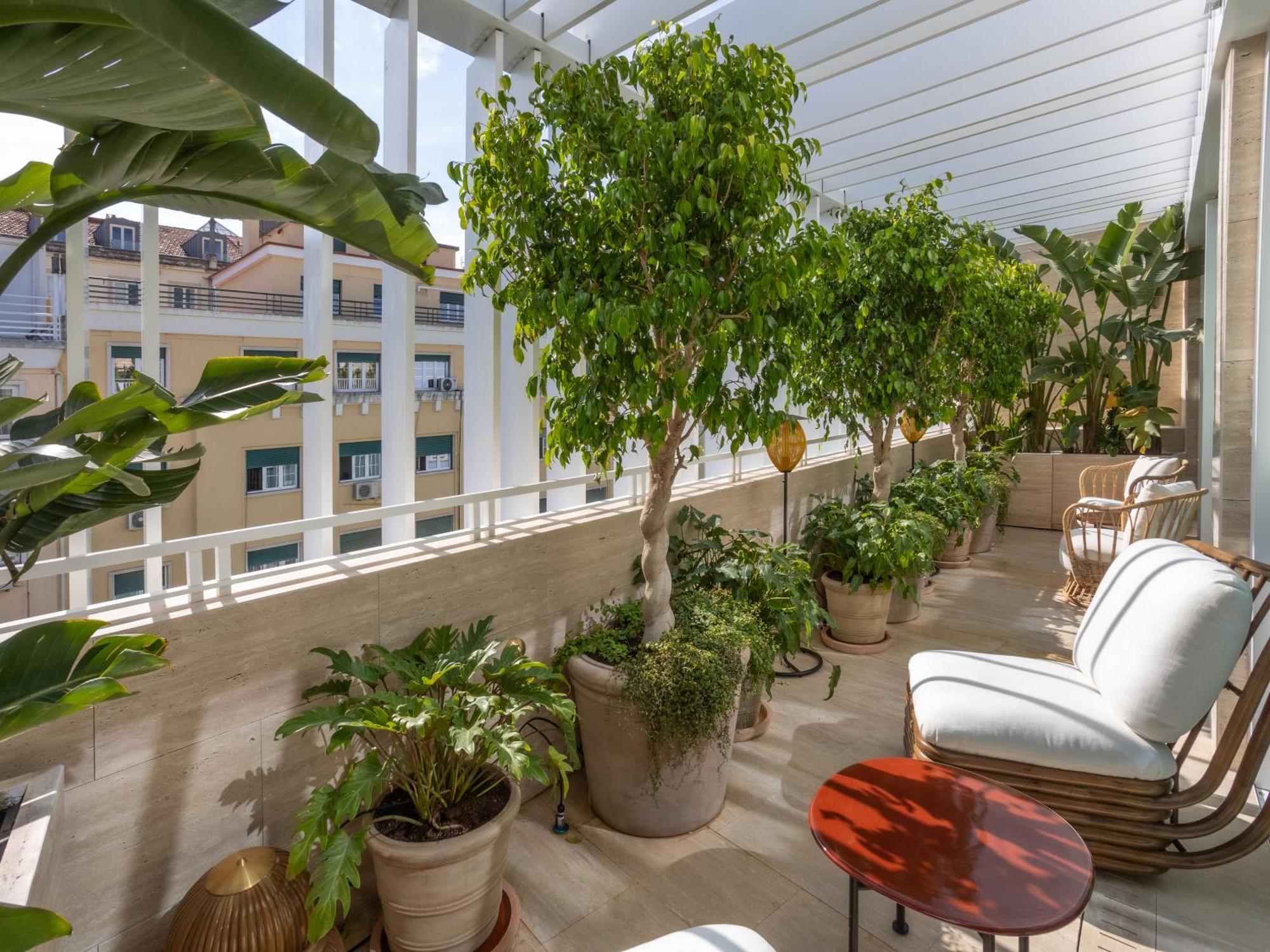 Contemporary Suite Balcony,1699427712:JPEG