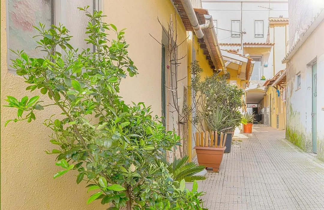 Cosy Duplex House In Downtown Lisboa-1