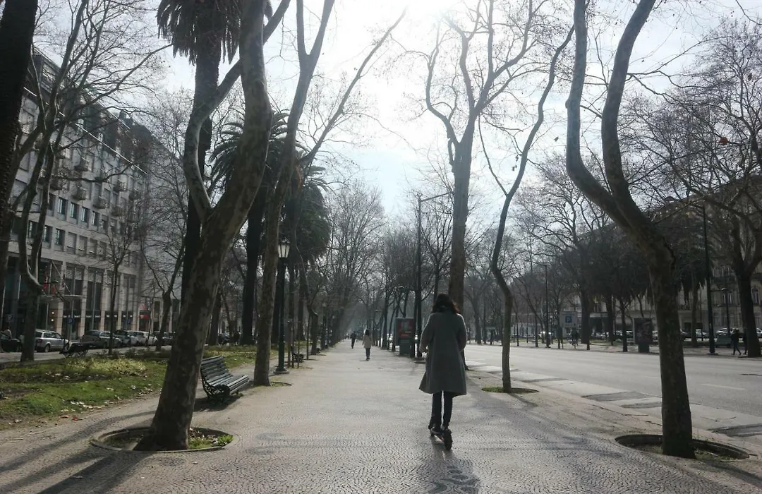 My Home Lisbon-1