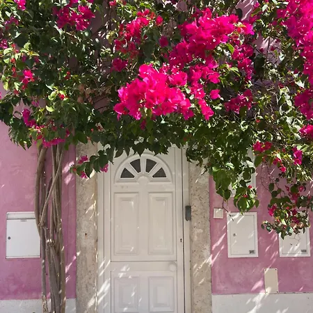 Casa Cor de Rosa-2