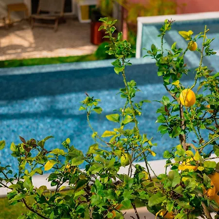 Jardim Da Lapa By Shiadu-3