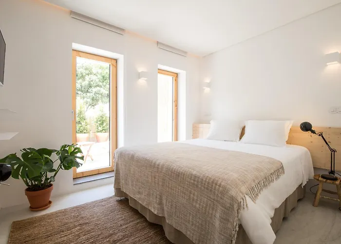 Cozy Lisbon Graça Apartamento aceita animais de estimação